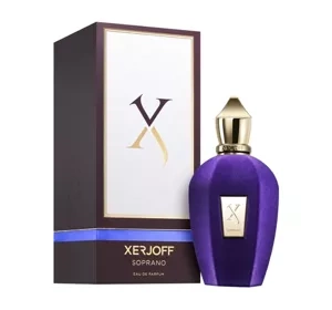 Xerjoff Accento Eau de Parfum spray 100ml