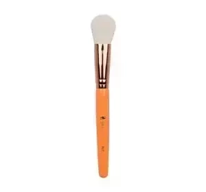 IBRA FRESH MAKEUP BRUSH F07