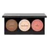 GOLDEN ROSE METALLIC SCULPTING PALETTE FOR FACE CONTOURING