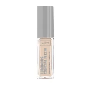 WIBO LUMINOUS CONCEAL ELIXIR ILLUMINATING EYE CONCEALER 1 10ML