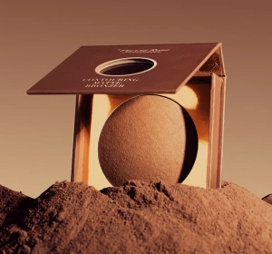 WIBO FAKE BUT FABULOUS PRESSED BRONZER 2 9G