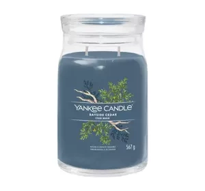 YANKEE CANDLE SIGNATURE SCENTED CANDLE BAYSIDE CEDAR 567G