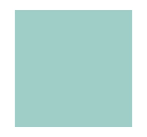 SALLY HANSEN INSTA-DRI NAIL POLISH 510 GAIN-MO-MINT-UM 9.17ML