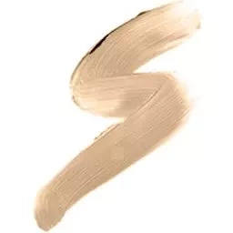 GOLDEN ROSE HD CONCEALER WITH BRUSH 05