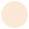 GOLDEN ROSE CONCEALER & CORRECTOR CRAYON 01 4G