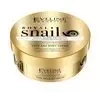 EVELINE ROYAL SNAIL CONCENTRATED FACE AND BODY CREAM 200ML