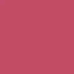 WIBO MILLION DOLLAR LIPS LONG-LASTING MATTE LIPSTICK 3